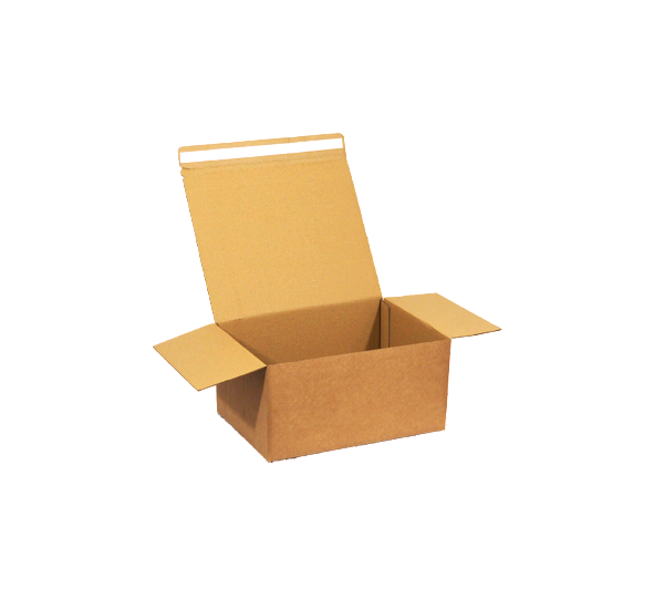 20 x Self Seal Postal Box - 310 x 220 x 150mm